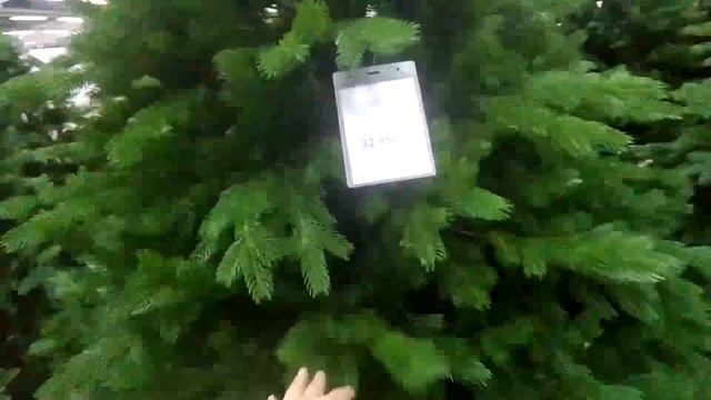 Влог/встреча с подружками/покупки /предновогодний шопинг