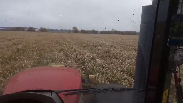 MASSEY FERGUSON 8737 и косилка бабочка кронэ смотреть онлайн