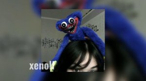 время и стекло - гармошка(мяу-мяу-мяу ты меня променял на какую то ободраную кошку)speed song