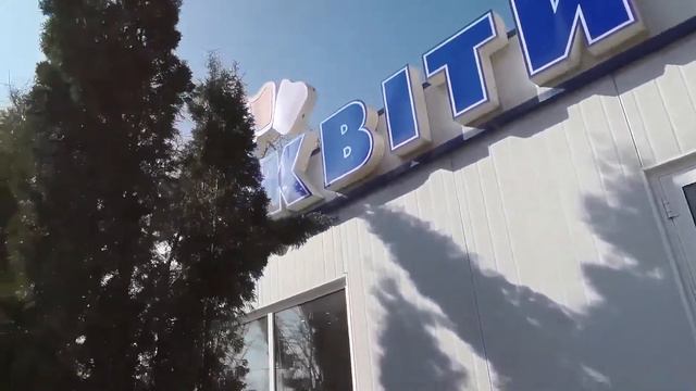 Поздравление с 8 Марта смотреть онлайн