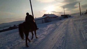 Как ездить без седла на лошади