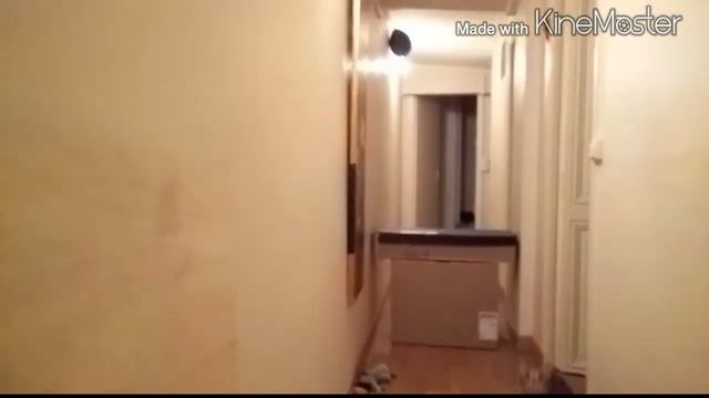jade savannah f5 sbt jumping over box смотреть онлайн