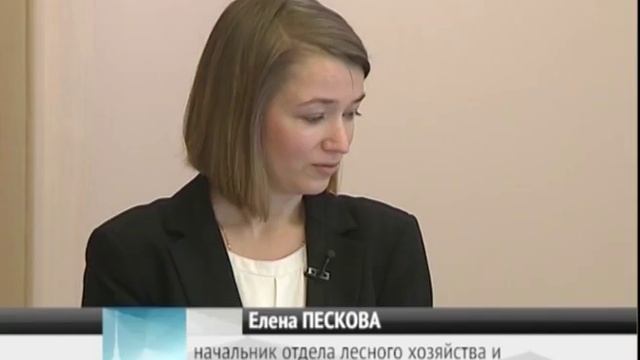 Флора 5-миллионного мегаполиса смотреть онлайн