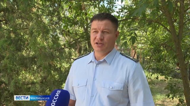 В Калмыкии Управлением Россельхознадзора с начала года признаны недействительными 16 деклараций смотреть онлайн