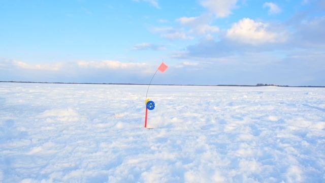 Щуки таёжных озер | Томская область | Щука на жерлицы в тайге смотреть онлайн