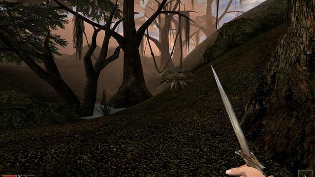 Morrowind #4 2022 06 30