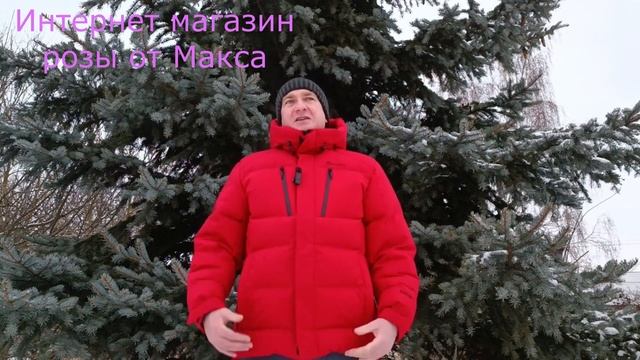 Ответы на вопросы на канале розы от Макса. смотреть онлайн