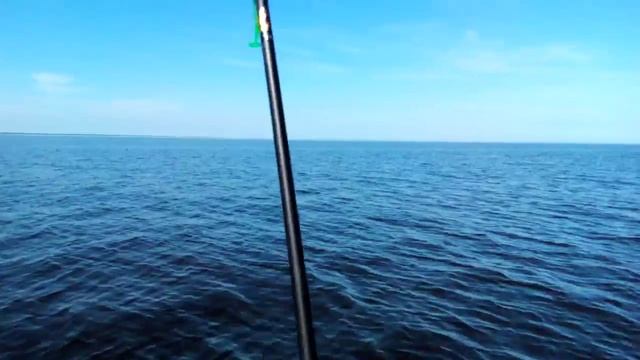 Груперы на Ладоге,полдень. смотреть онлайн