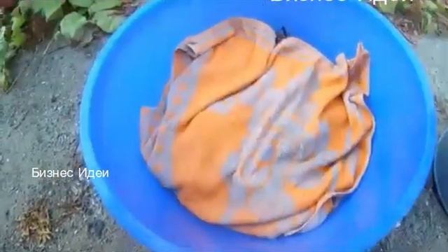 Выращивание и продажа раков как перспективный вид бизнеса СКОЛЬКО МОЖНО ЗАРАБОТАТЬ БИЗНЕС ИДЕЯ смотреть онлайн