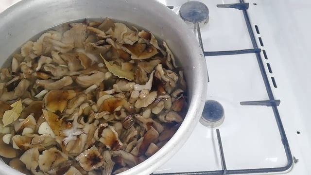 Готовим здоровую пищу 