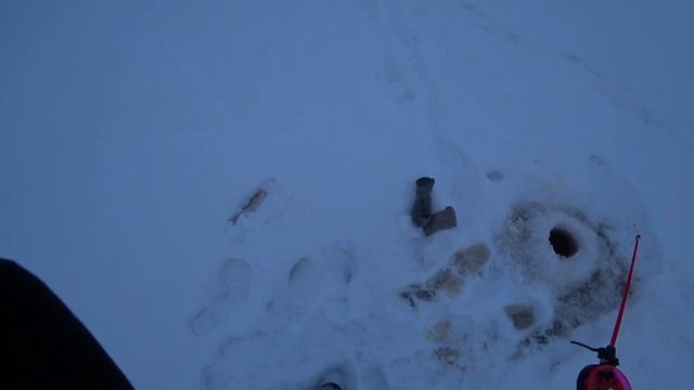 Рыбалка/Сургут/ХМАО/2020 смотреть онлайн