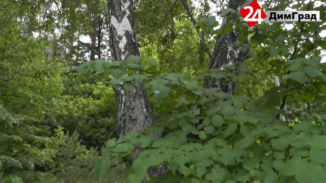 ДИМИТРОВГРАДЦАМ ПРИДЕТСЯ САМИМ ИСКАТЬ СПОСОБЫ БОРЬБЫ С КОМАРАМИ смотреть онлайн