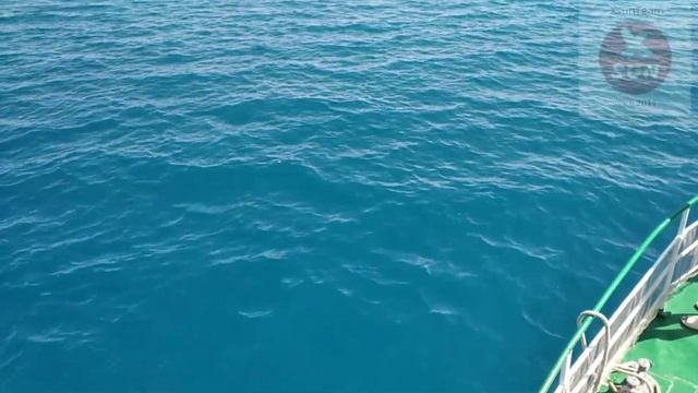 Бирюзовая вода озера Иссык-куль. Июль 2022 смотреть онлайн