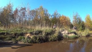 133км на ДЕТСКОМ ПИТБАЙКЕ BSE EVO 110 ! Крутой ПРОХВАТ с мотоциклистами из ФанЭндуро