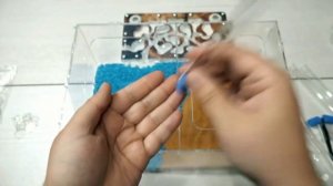 Автономное увлажнение муравьиной фермы