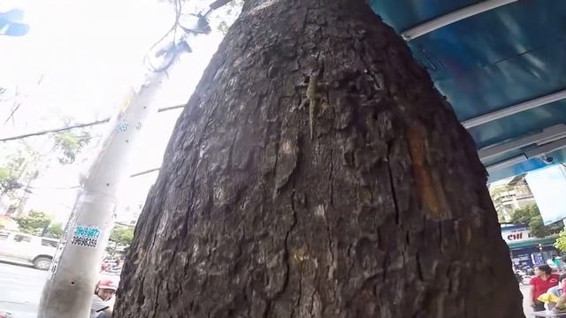 Обед в Хошимине