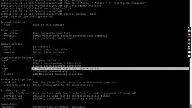 How to Enable Password Authentication in Nginx | Access Control | User Login | Basic Authentication смотреть онлайн