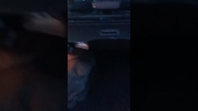 Китаец в такси, Exeed. смотреть онлайн