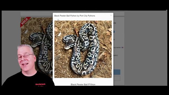 10 Ways to Make a Black and White Ball Python смотреть онлайн