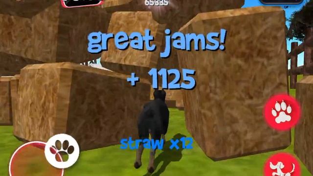 Dog Simulator 2015 - Farm 1 - 130405 points смотреть онлайн