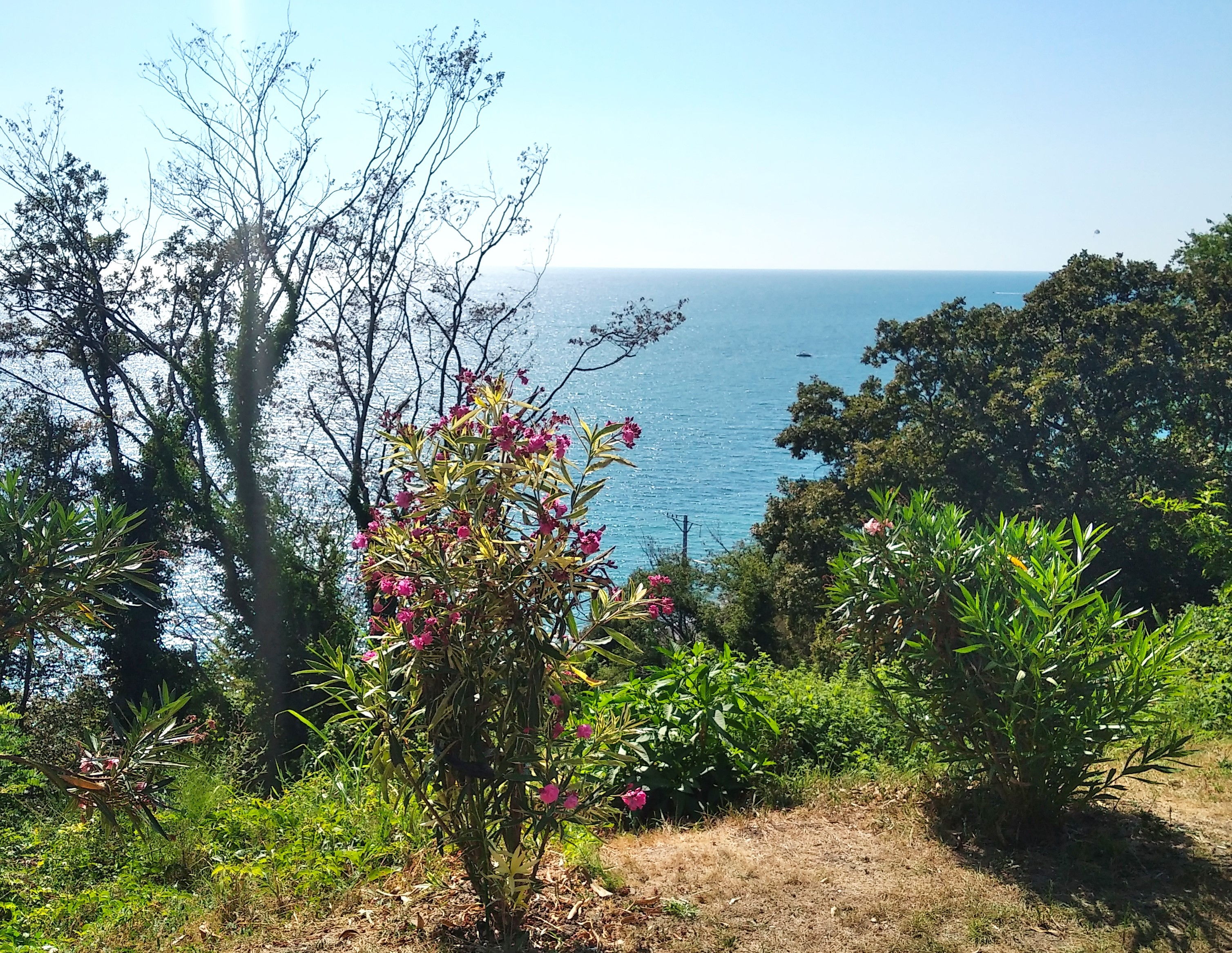 Остров детства, детства моего (Сочи 2023) смотреть онлайн