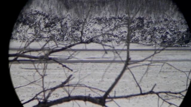 23.11.2023 Утро Ледоход#1 (возобновление) река Амур Комсомольск-на-Амуре Хабаровский край смотреть онлайн