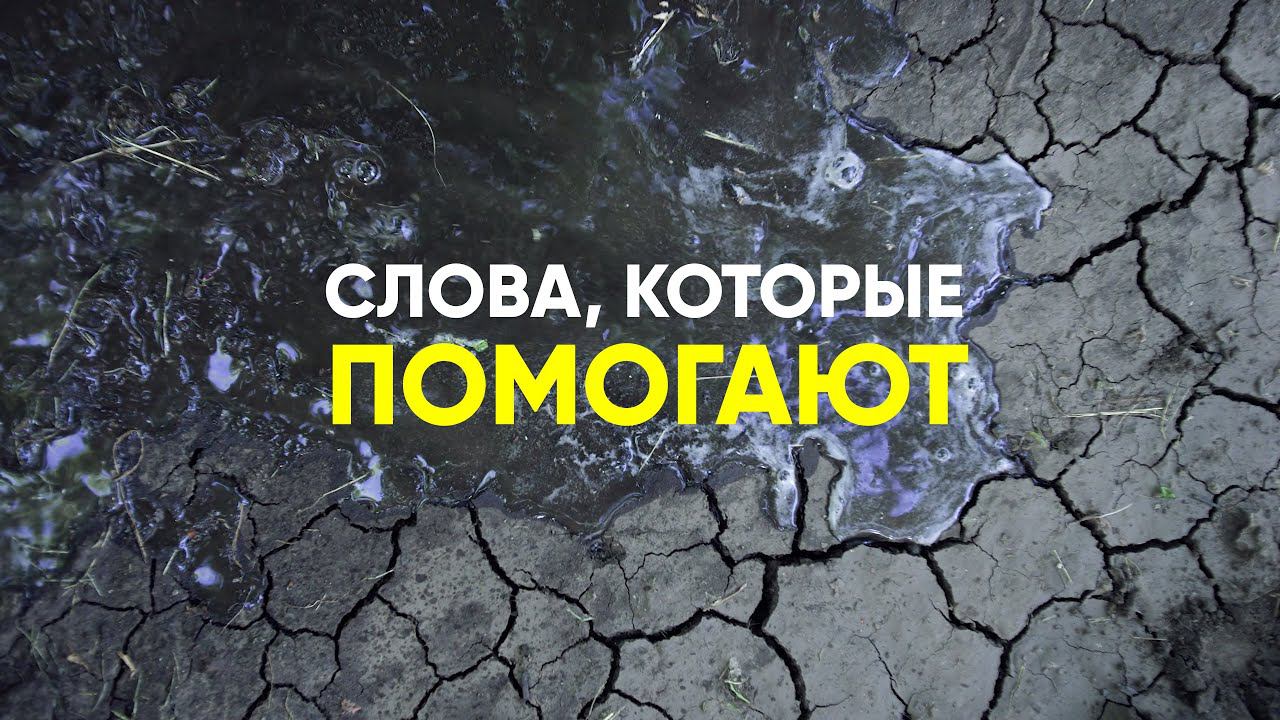 Слова, которые помогают смотреть онлайн