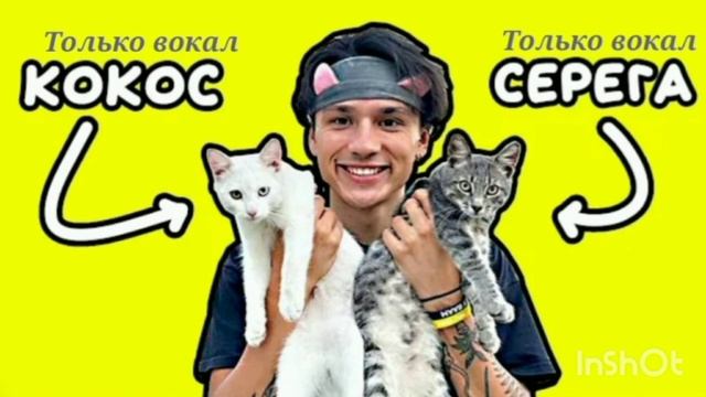 Мама задонать пж x песня про котят (mahup) смотреть онлайн