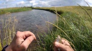 Хариус реки Уйбат. Своя природа. Хакасия.