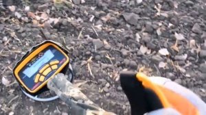 Обзор-Отзыв об Гаррет АСЕ 250 & Review Garrett ACE 250