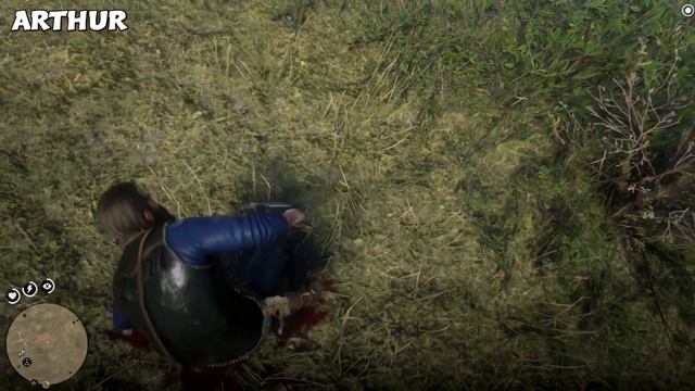 Arthur vs John's Falling Scream - RDR2 смотреть онлайн