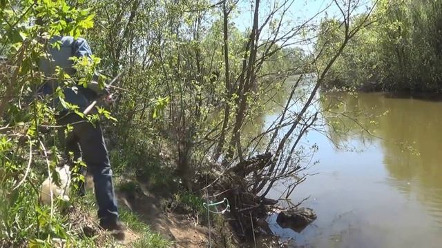 Ловля сазана и др рыбы на малой реке смотреть онлайн