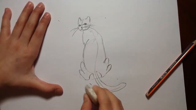 Видео урок как нарисовать кошку??? смотреть онлайн