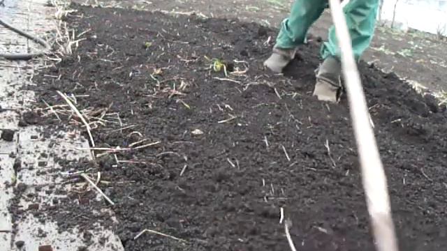 Подготовка земли и высадка морковки!Часть№4 Land preparation and planting of carrots! смотреть онлайн