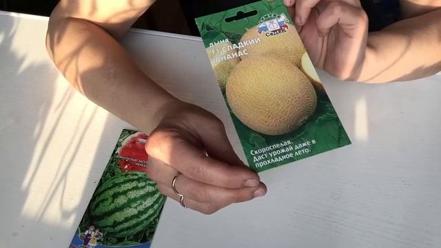 Арбузы и дыни в Свердловской области смотреть онлайн