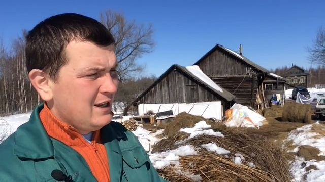 Про сено (часть 3) заготовка или покупка смотреть онлайн