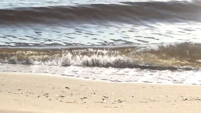 Икра все таки не пропала Мальки растут Рыба будет Рыбалка река Волга пляж Козловка Чувашия лето 202 смотреть онлайн