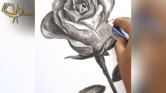 🔥Easy Rose Art✏️🌹| #part2 #pencildrawing #realistic #black #white #art #video #tamil #rose