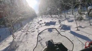 IRBIS SF 200 катаем по лесу в пухлом снегу