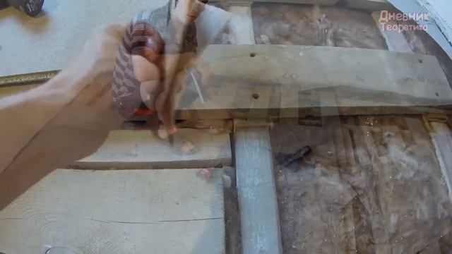 Монтаж тихого чернового пола по деревянным балкам [№36] смотреть онлайн