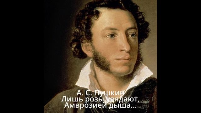 341 Лишь розы увядают Амврозией дыша смотреть онлайн
