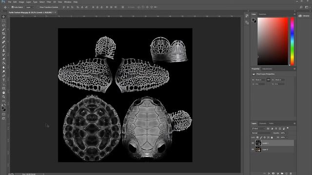 Making SSS subsurface scattering textures in Photoshop CC 2017 for Carey Turtle - Part 11 смотреть онлайн