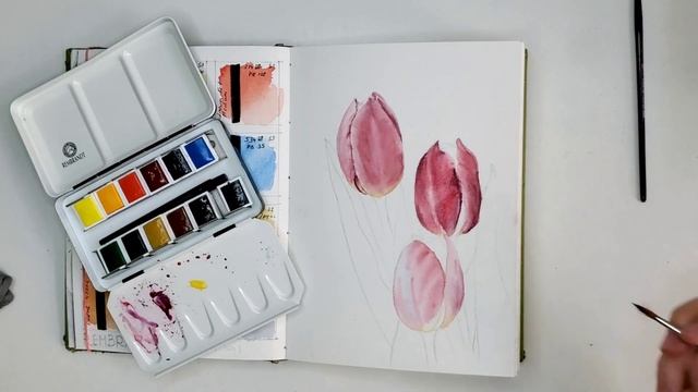 Rembrandt and watercolor tulip timelaps. Обзор акварели Рембрандт и рисуем тюльпаны смотреть онлайн