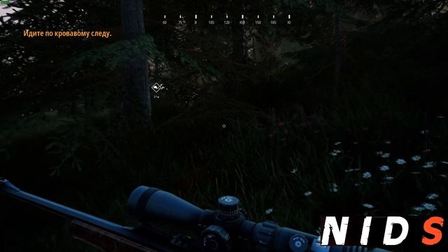 Hunting Simulator 2 - Новый симулятор охоты Обзор и первый взгляд смотреть онлайн