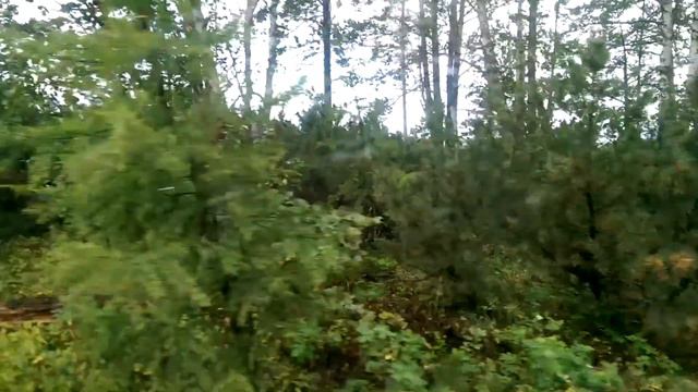 Байкал Баргузинский залив дорога домой 1 смотреть онлайн