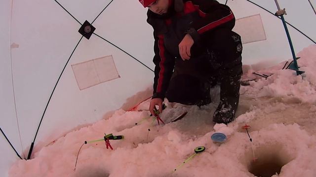 Сиг в соленой воде. На море за сигом/Опять Дойка/Sea fishing смотреть онлайн