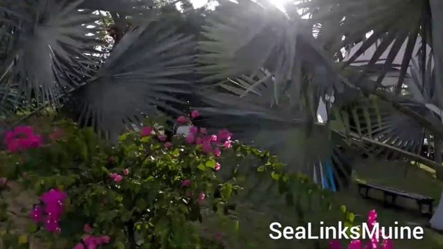 МУЙНЕ. БАССЕЙН в Sea Links City. смотреть онлайн