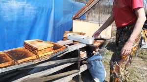 Солнечная воскотопка.