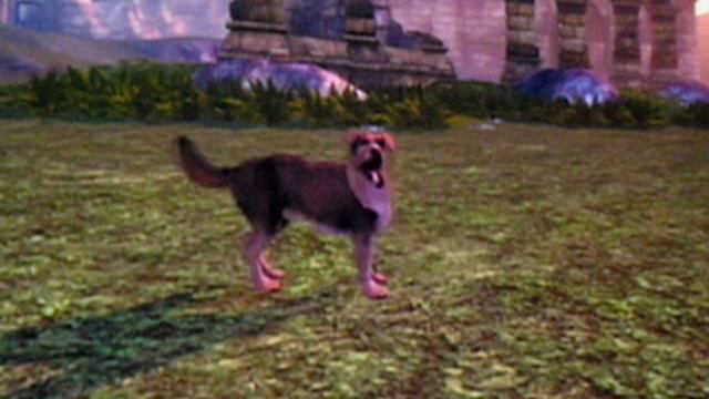 fable 2 glitch: control the dog *TUT* смотреть онлайн