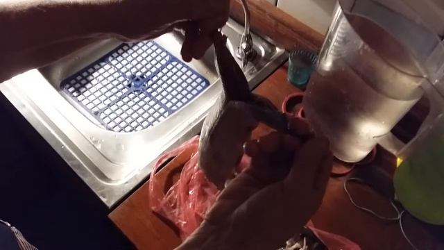 Как сделать филе сельди за 3 минуты смотреть онлайн